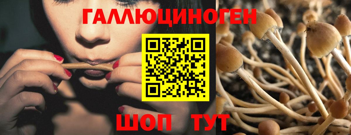 Галлюциногенные грибы прущие грибы  Вход с VPN  Галлюциногенные грибы прущие грибы  Кизляр 